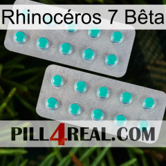 Rhinocéros 7 Bêta 29